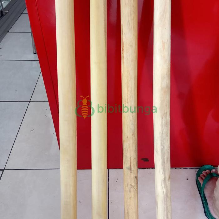 Jual Gagang Cangkul Kayu Jati Pacul Panjang 100cm 100 cm Kebun Taman ...