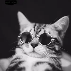 Kacamata Kucing Trendy