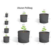 Gambar Polybag Tanaman 45x45 Tebal isi ± 8 Lembar Polibag Besar 45 x 45 Awet - 45x45 ± 8 pcs dari Benih Seribuan Kab. Boyolali 5 Tokopedia