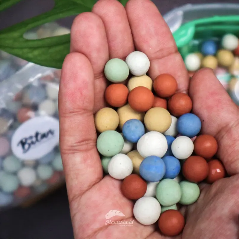 HYDROTON WARNA WARNI Organik Tanah Tanaman Tumbuhan 2