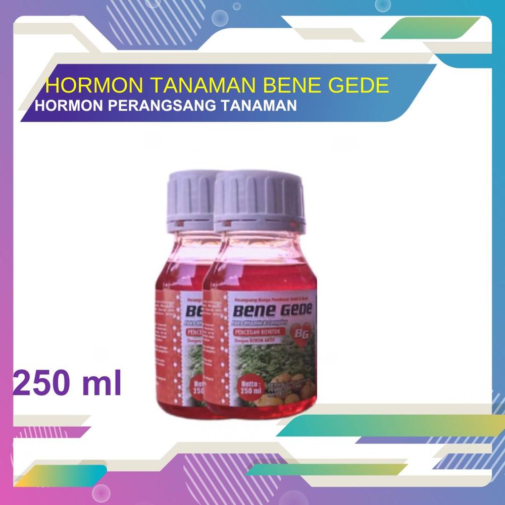pupuk tanaman Perangsang Umbi dan Buah Bene Gede Perangsang Umbi dan Bunga perangsang tanaman cepat berbuah  250 ML - Not Specified
