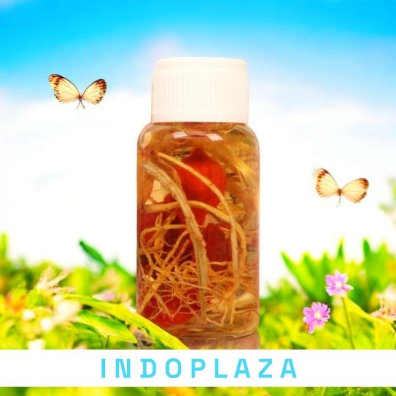 ORIGINAL INDOPLAZAMinyak bulus ginseng merah asli papua /pembesar payud@ra - 20ml