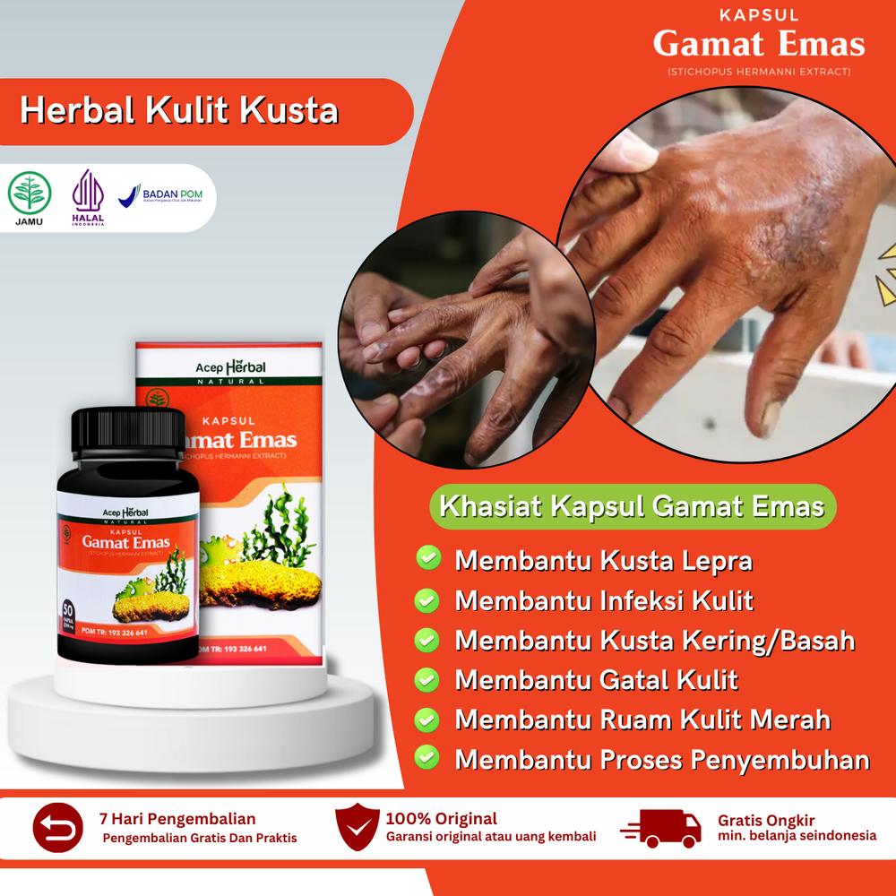 Kapsul Gamat Emas Untuk Kusta Lepra DEWASA DAN ANAK - Kapsul Gamat Emas