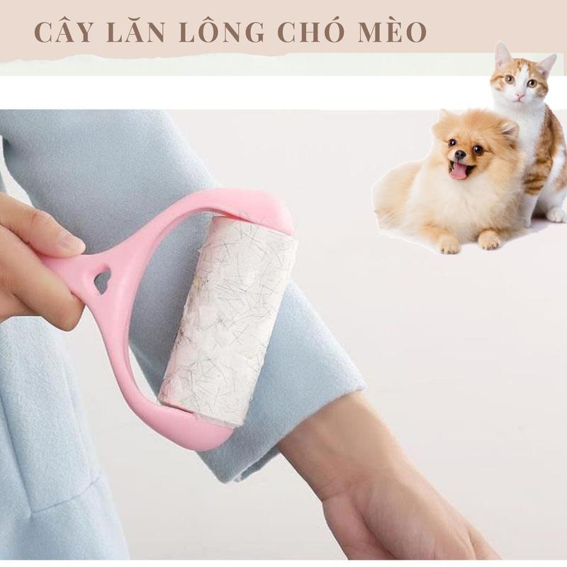 Cây lăn bụi và siêu dính lông chó mèo thú cưng