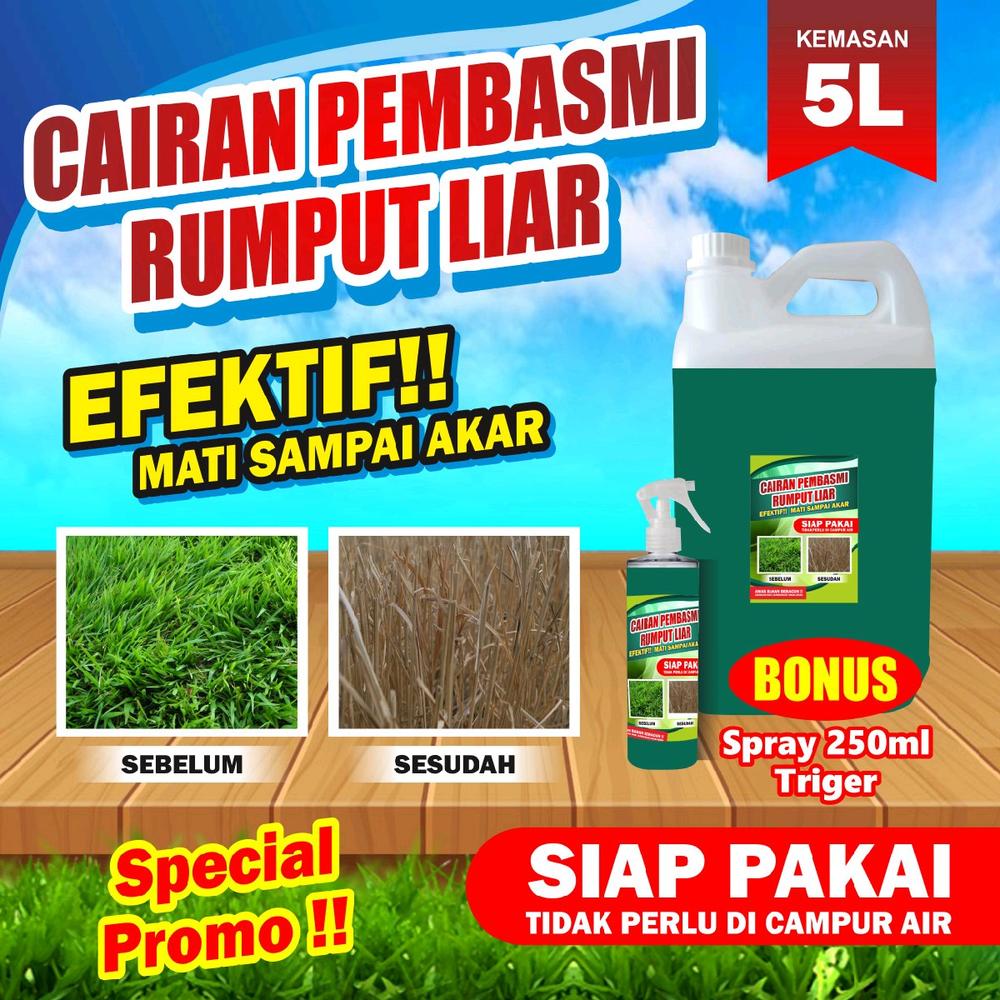 PROMO Cairan Pembasmi Rumput Liar jurigen 5 Liter FREE Spray Trigger 250 ml pemba s - -, -