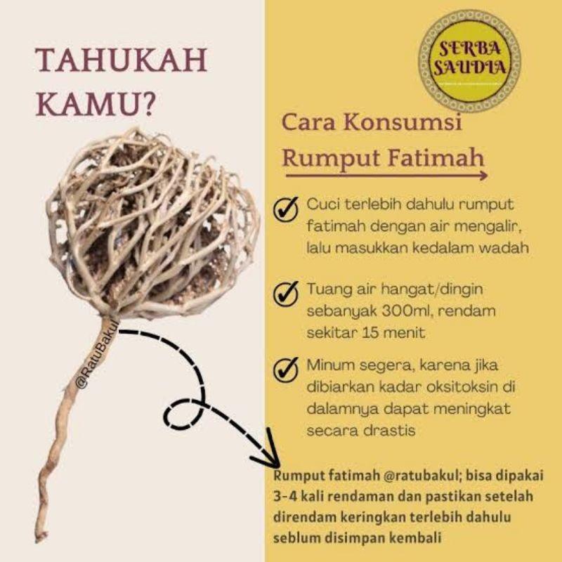 Rumput Fatimah Untuk Memperlancar Persalinan