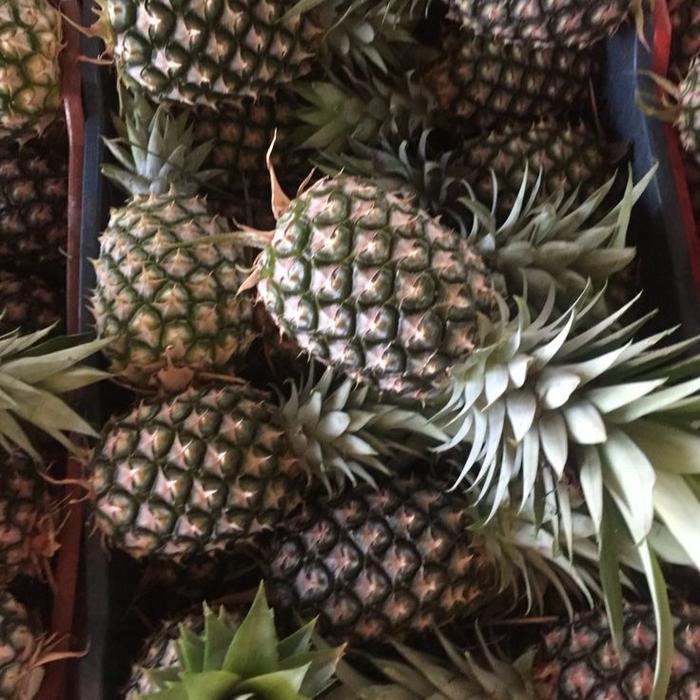 Buah nanas mudah fresh pelancar haid Denova Store2