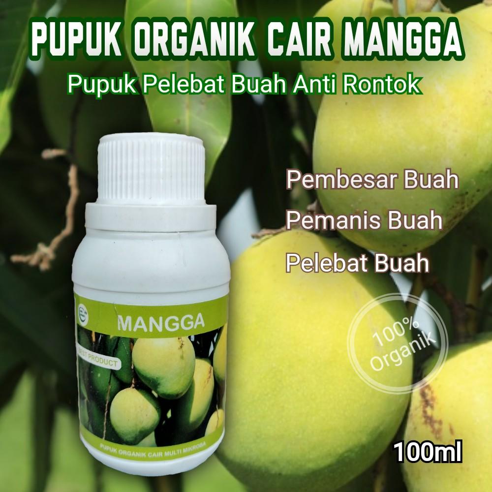 Pupuk Mangga Organik Cair Asli Agar Cepat Berbuah Lebat Booster Perangsang Pembesar Pemanis Buah Anti Rontok Bunga Ampuh Terbaik Aman Untuk Bibit Tanaman Besi - -, -