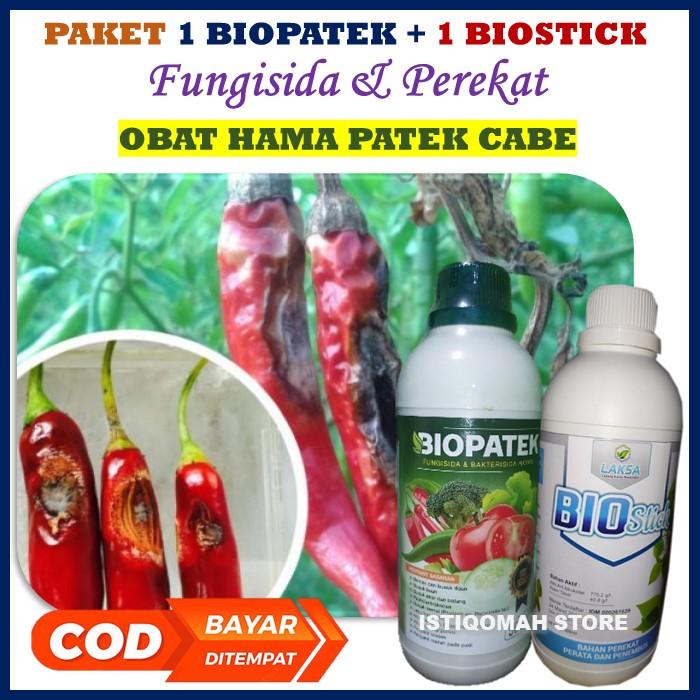 Paket Obat Patek Cabe 1 BIOPATEK + 1 BIO STICK Perekat di Musim Hujan - Fungisida Bio Patek Obat Cabe Anti Patek - Obat Biopatek Cabe - Obat Hama Biopatek - Pungisida Biopatek Obat Hama Patek Pada Tan